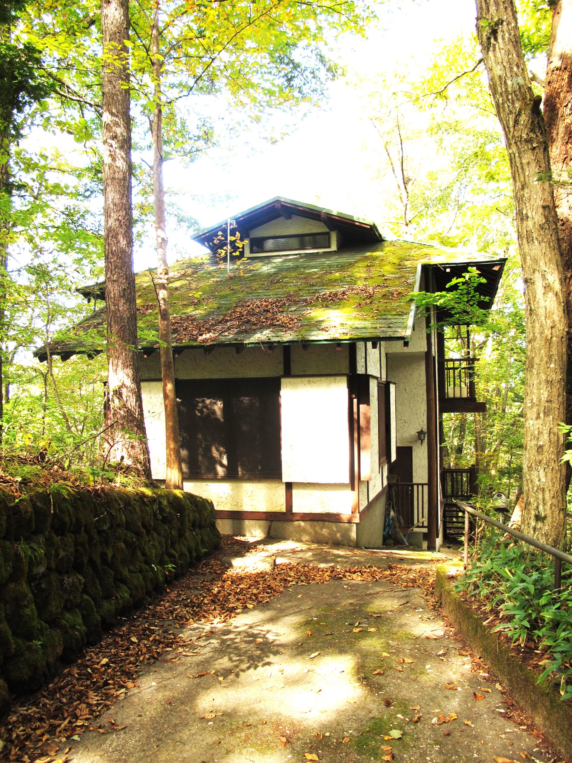 八風の郷 区画:5644