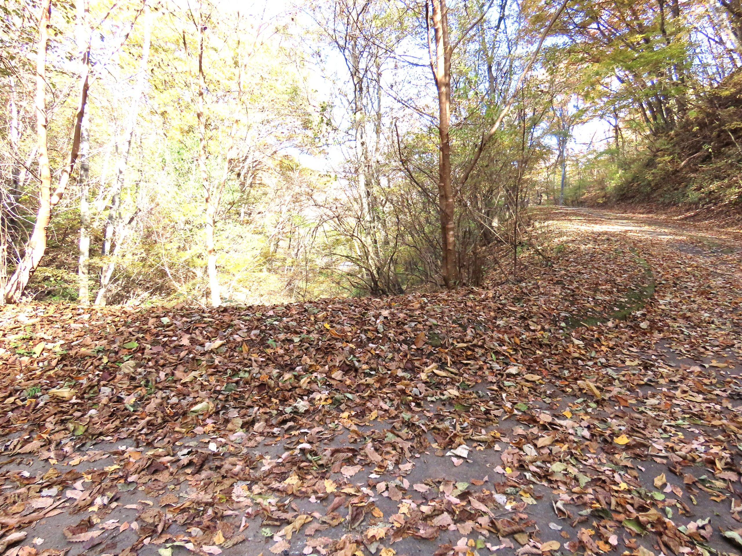 レイクニュータウン 区画：635-1