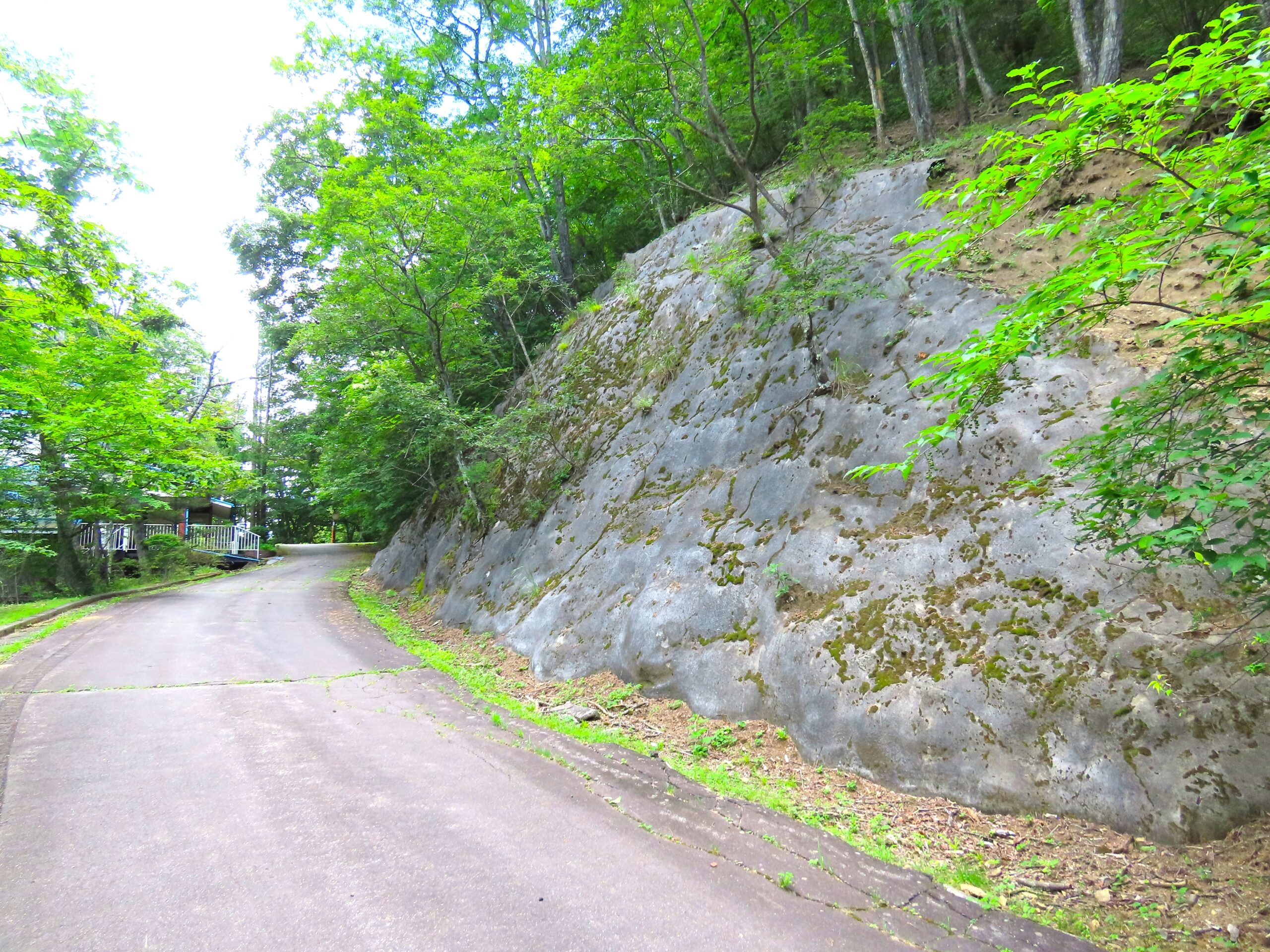 レイクニュータウン 区画：1030-1