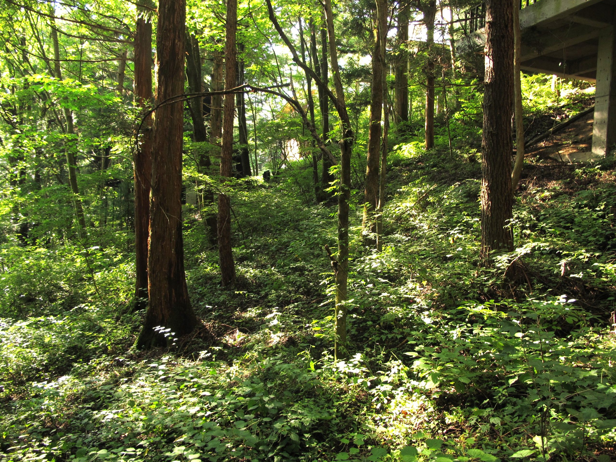 せせらぎの森 区画：69-2