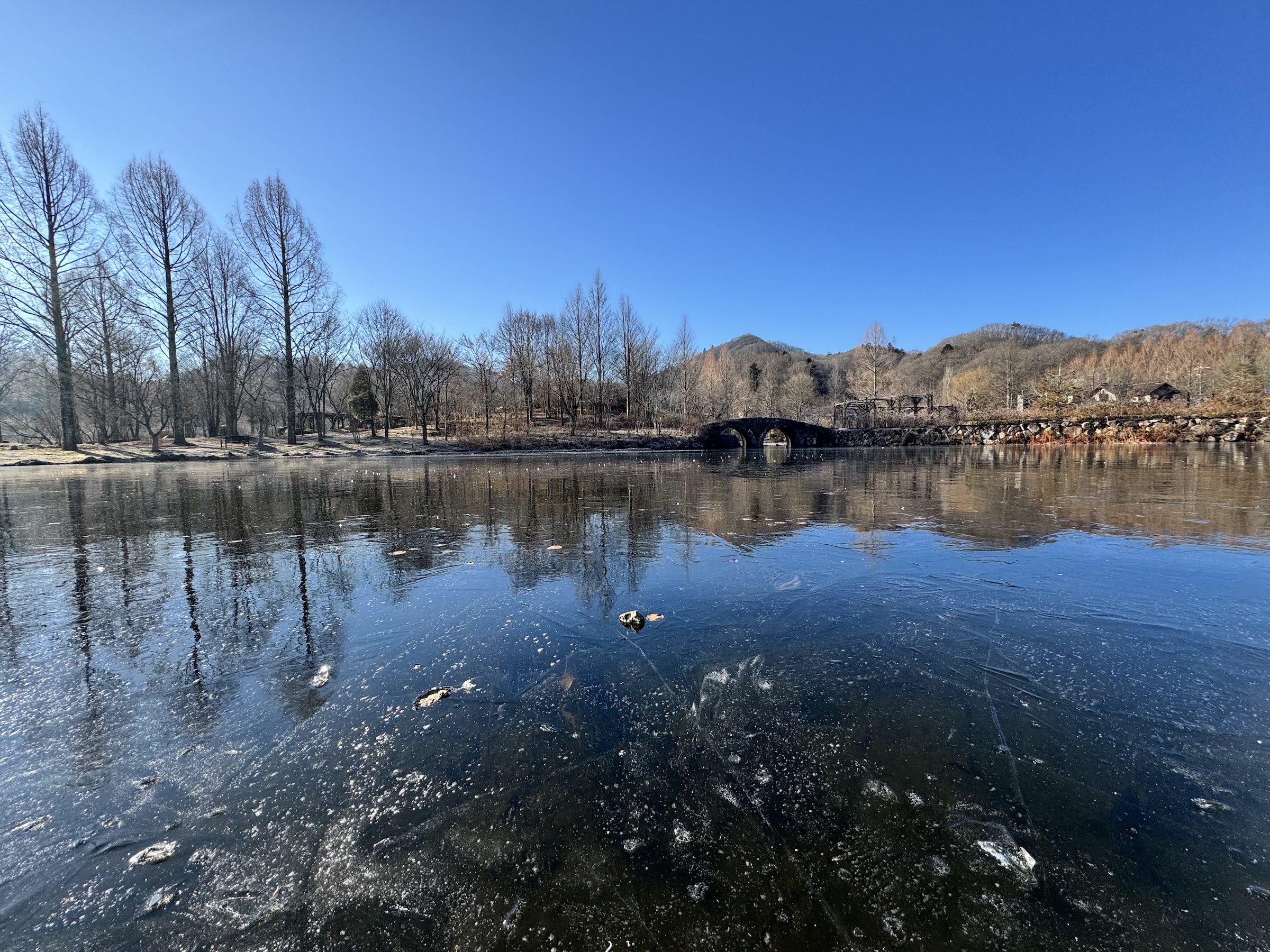 年末年始のお知らせ