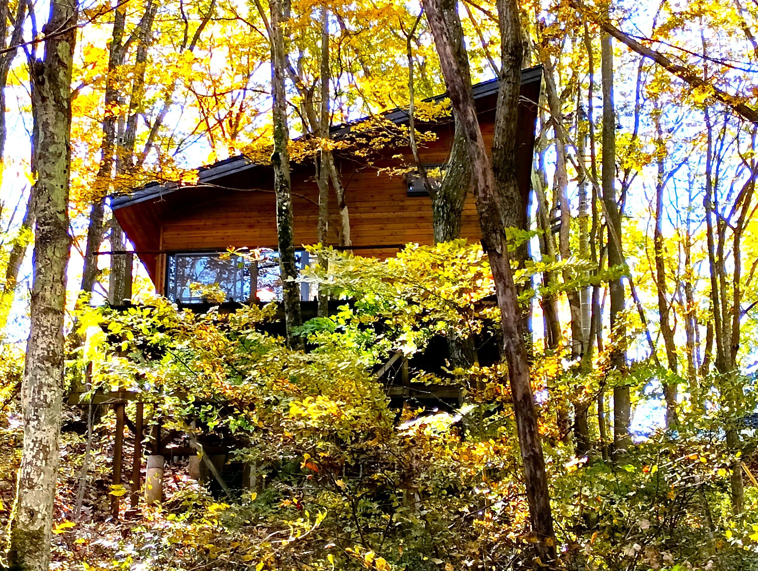 浅間台 区画：8