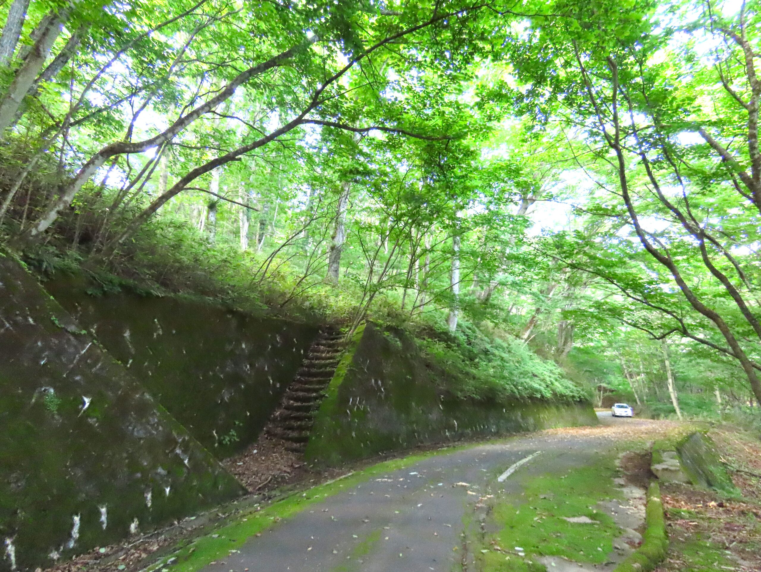 八風の郷 区画:4831