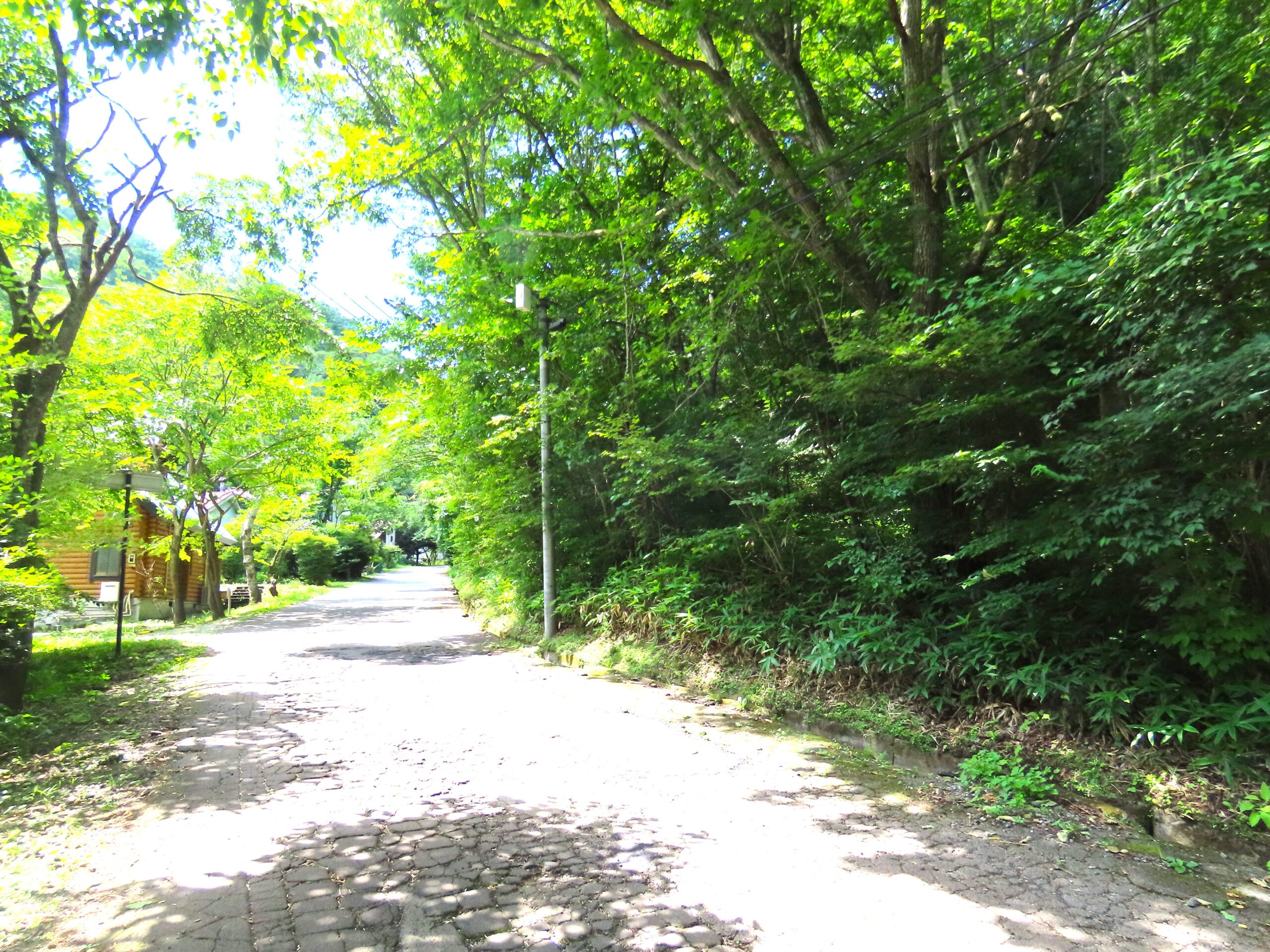 レイクニュータウン 区画：73